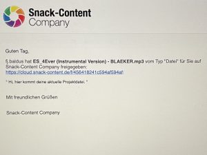 Die Zusammenarbeit in der Snack-Content Cloud